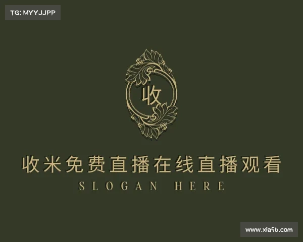 认识收米篮球直播